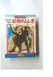 なぜなに動物のふしぎ