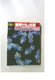 動物たちの地球 65