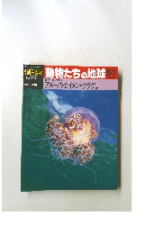 動物たちの地球 61 8/23　アメーバ・カイメン・クラゲ