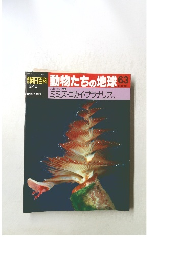 朝日百科　動物たちの地球　63