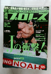 プロレス　2006.11.15