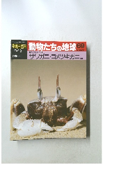 朝日百科　動物たちの地球　69