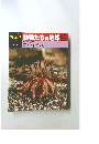 週刊朝日百科 動物たちの地球 68