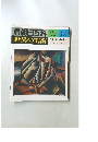 週刊朝日百科　世界の美術　73
