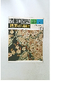 週刊朝日百科　世界の美術　123