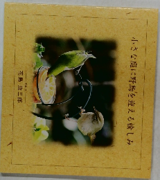 小さな庭に野鳥を迎える愉しみ