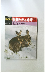 朝日百科動物たちの地球　58
