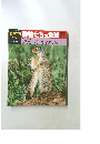 朝日百科動物たちの地球　57