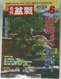 近代盆栽　2006.6