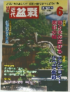 近代盆栽　2006.6