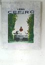 NISSAN　CEFIRO