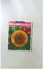 夏休み植物のかんさつ