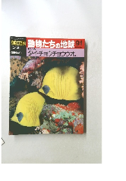 朝日百科動物たちの地球 91