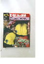 朝日百科動物たちの地球 91