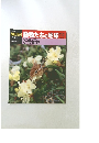 朝日百科 動物たちの地球 112  8/22　針葉樹林