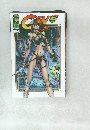 GEN 13