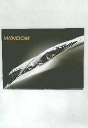 WINDOM