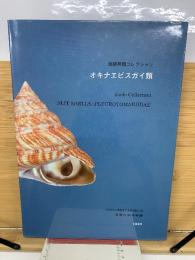 遠藤貝類コレクション オキナエビスガイ類