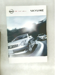 SKYLINE