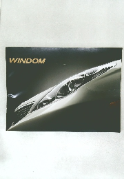 WINDOM