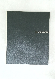 CELSIOR