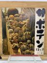 サボテン12ヵ月
