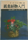 ミニミニカラー文庫 56  観葉植物入門