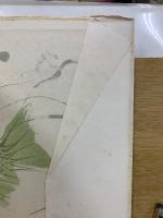 大東亜戦争 海軍作戦写真記録