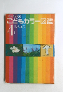 こどもカラー図鑑 4 しょくぶつ