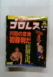 プロレス　1993年4/20