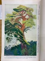 国際写真情報　昭和6年12月　帝展号