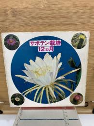 サボテン栽培12ヵ月