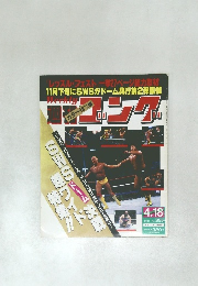 週刊ゴング 1991年4月18日号 335号