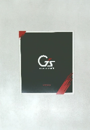 Gs  TOYOTA G SPORTS