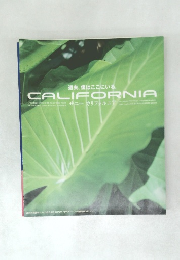 週末、 僕はここにいる。  CALIFORNIA