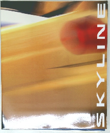 SKYLINE