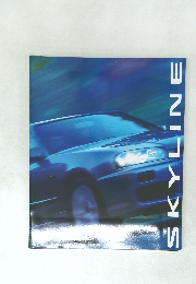SKYLINE