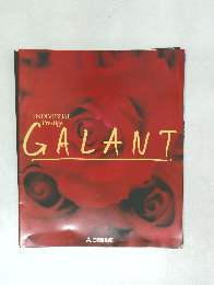 INDIVISUAL PRESTIGE GALANT