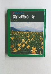 高山植物の一年