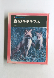 科学のアルバム  森のキタキツネ