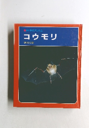 コウモリ