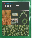 イネの一生
