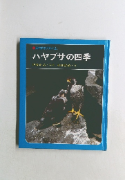 ハヤブサの四季