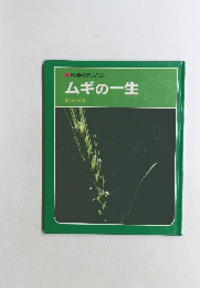 ムギの一生