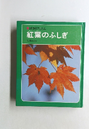 紅葉のふしぎ