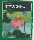 水草のひみつ