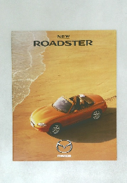 NEW  ROADSTER