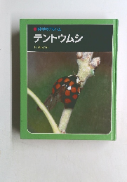 科学のアルバム  テントウムシ
