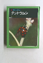 科学のアルバム  テントウムシ