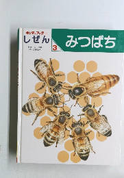 キンダーブック 3  しぜん3  みつばち